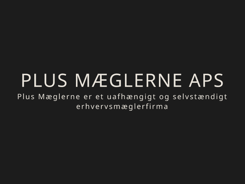 PLUS MÆGLERNE ApS logo