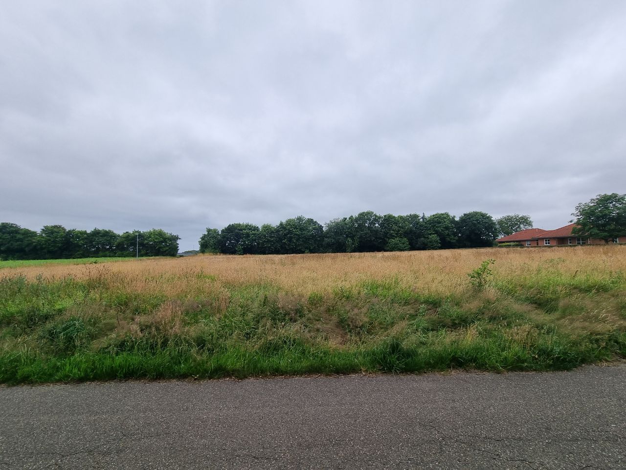 image 02