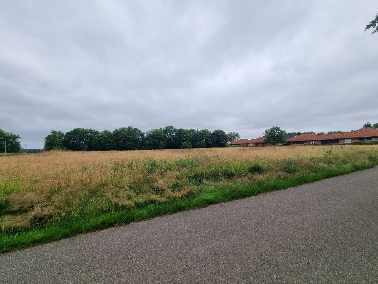 image 04