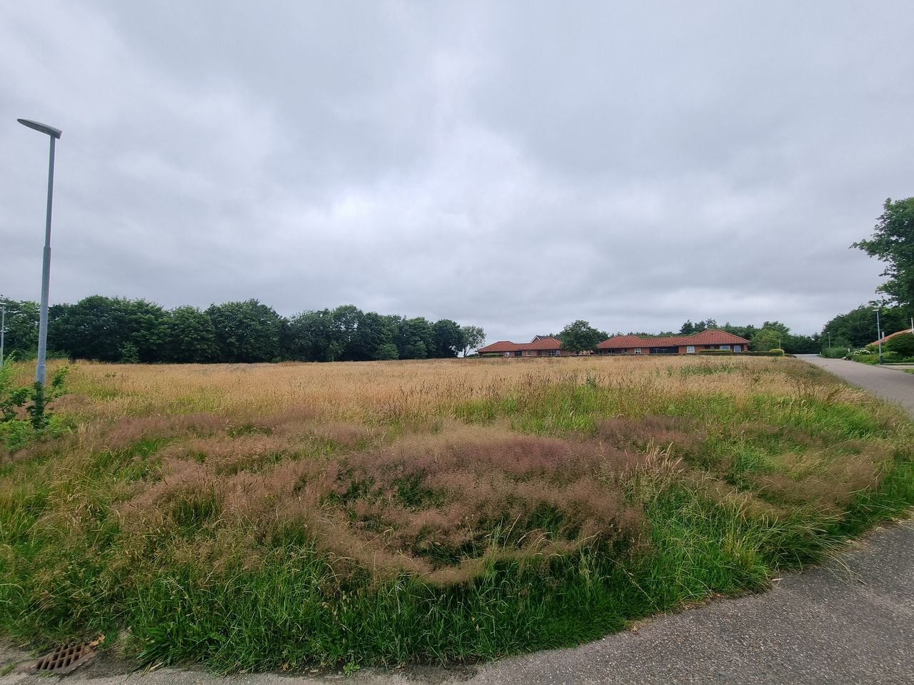 image 03